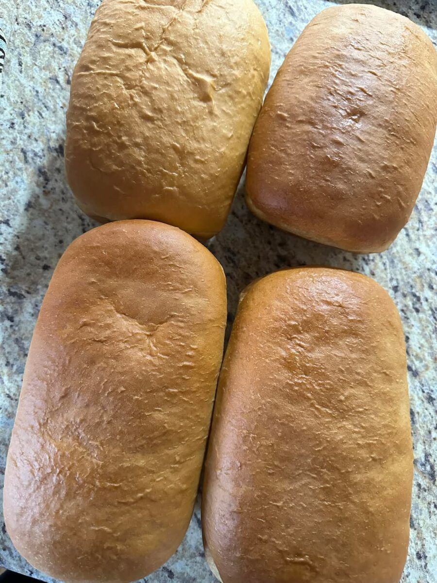 Four freshly baked loaves of bread on a speckled countertop.